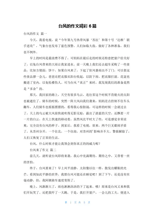 台风的作文精彩6篇