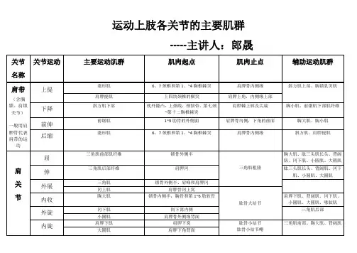 上肢运动参与肌肉