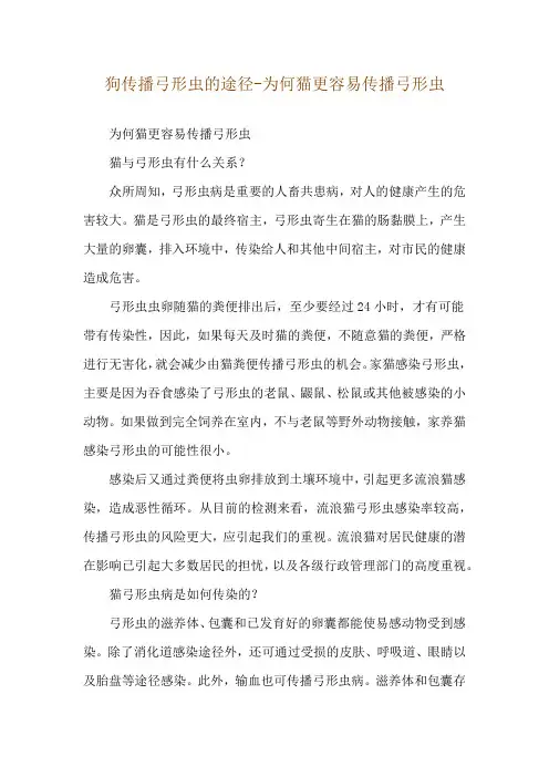 狗传播弓形虫的途径-为何猫更容易传播弓形虫
