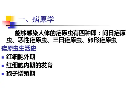 疟疾的疟疾诊断与防治