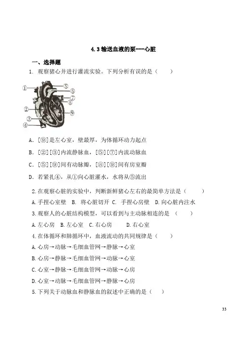 人教版七年级下册生物4.4.3输送血液的泵--心脏同步练习