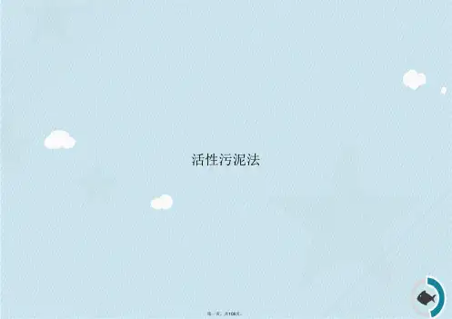 活性污泥法讲课文档