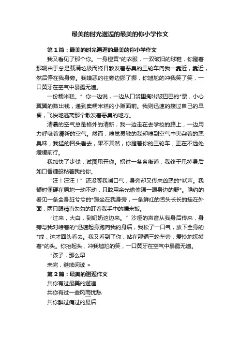 最美的时光邂逅的最美的你小学作文