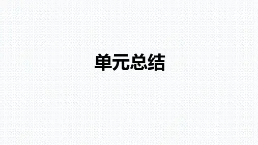人教版九年级化学下册第十一单元盐 化肥复习课件(共35张PPT)
