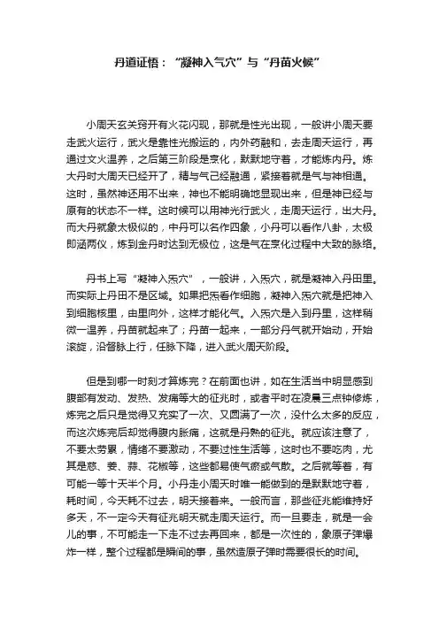 丹道证悟：“凝神入气穴”与“丹苗火候”
