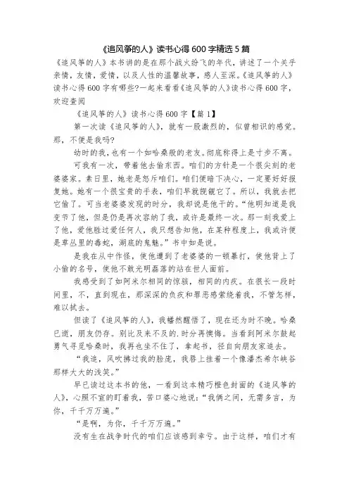 《追风筝的人》读书心得600字精选5篇