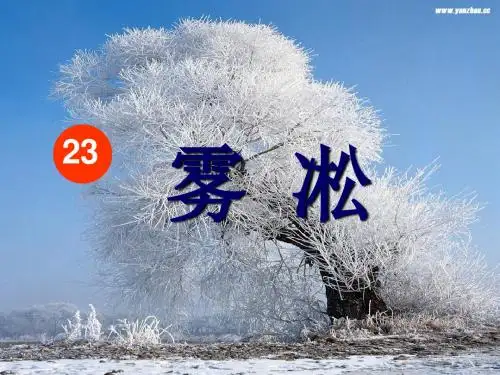 最新苏教版语文四年级上册优质课《雾凇》课件