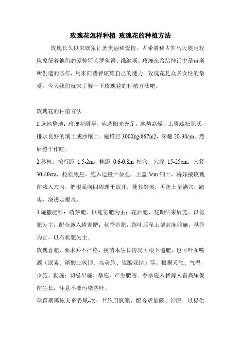 玫瑰花怎样种植 玫瑰花的种植方法.doc