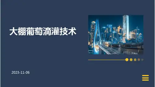 大棚葡萄滴灌技术