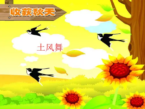 湘艺版音乐四年级下册第5课土风舞课件