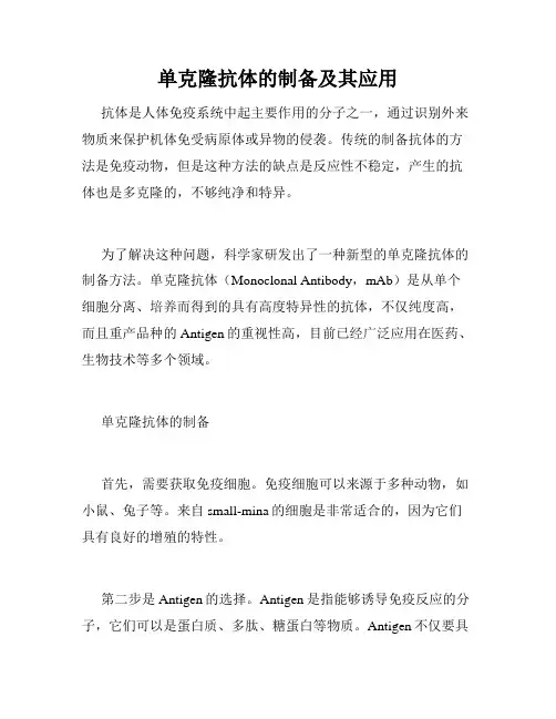 单克隆抗体的制备及其应用