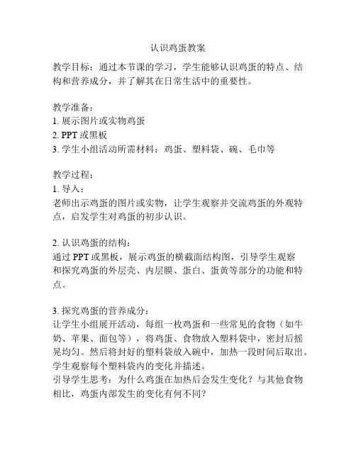 认识鸡蛋教案