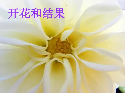 人教版初中生物七上3. 开花和结果 优秀PPT (47页)完整版(推荐)