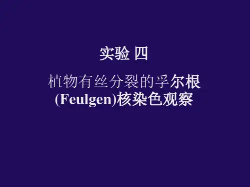 大学课程遗传学实验实验四 孚尔根(Feulgen)核染色课件
