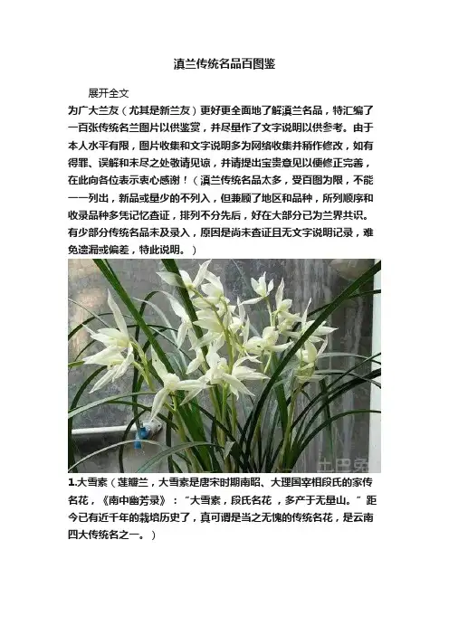 滇兰传统名品百图鉴