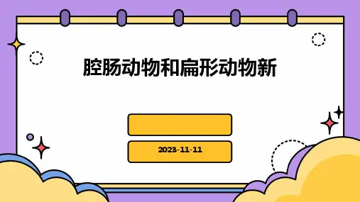 腔肠动物和扁形动物新