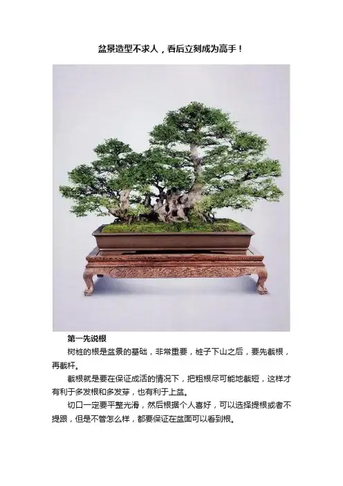 盆景造型不求人，看后立刻成为高手！
