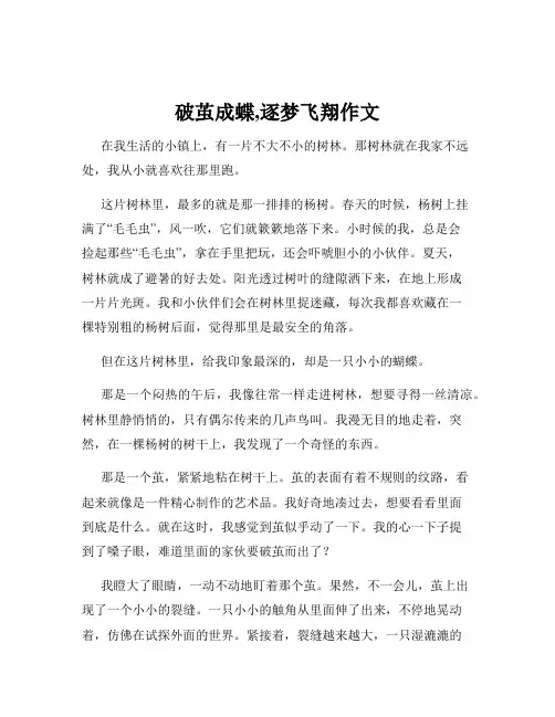 破茧成蝶,逐梦飞翔作文
