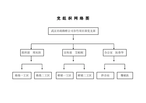 党 组 织 网 络 图
