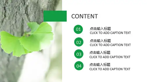 清新绿色通用教育教学培训ppt模板