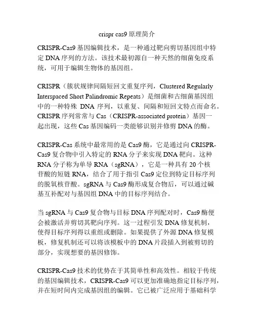 crispr cas9原理简介