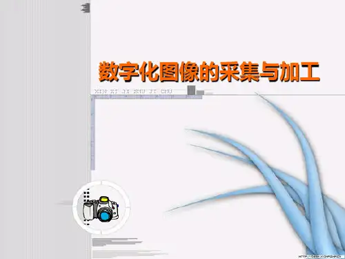 数字化图像的采集与加工课件