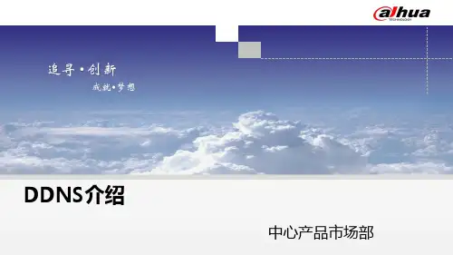 DDNS推广PPT