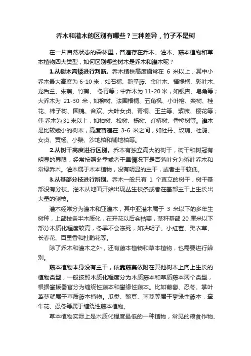 乔木和灌木的区别有哪些？三种差异，竹子不是树