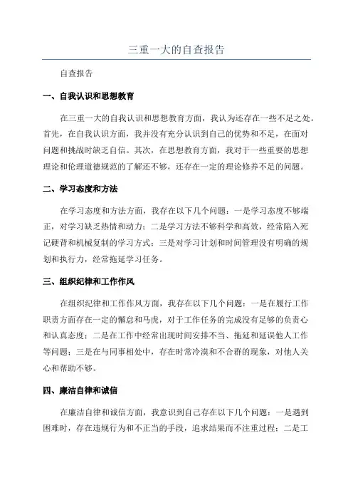 三重一大的自查报告
