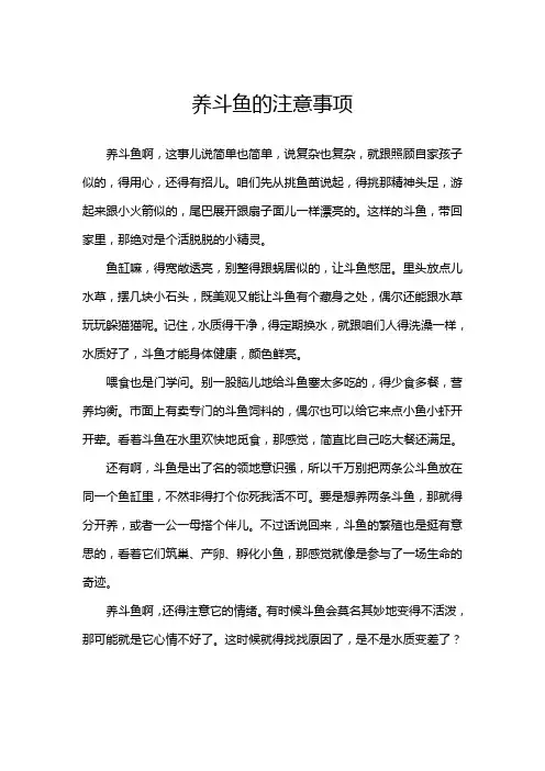 养斗鱼的注意事项