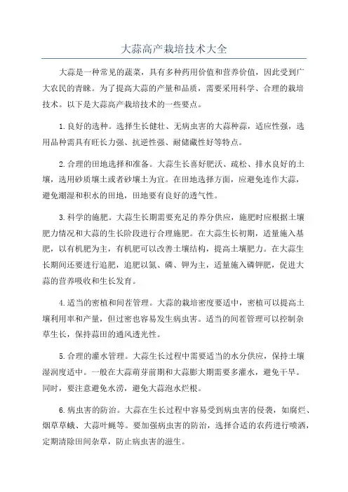 大蒜高产栽培技术大全