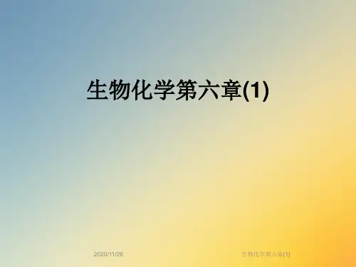 生物化学第六章(1)