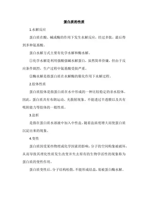蛋白质的性质