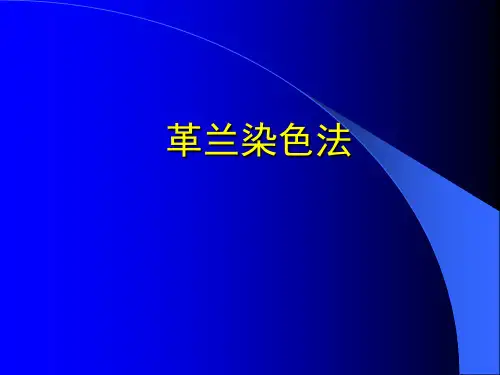 革兰染色PPT课件