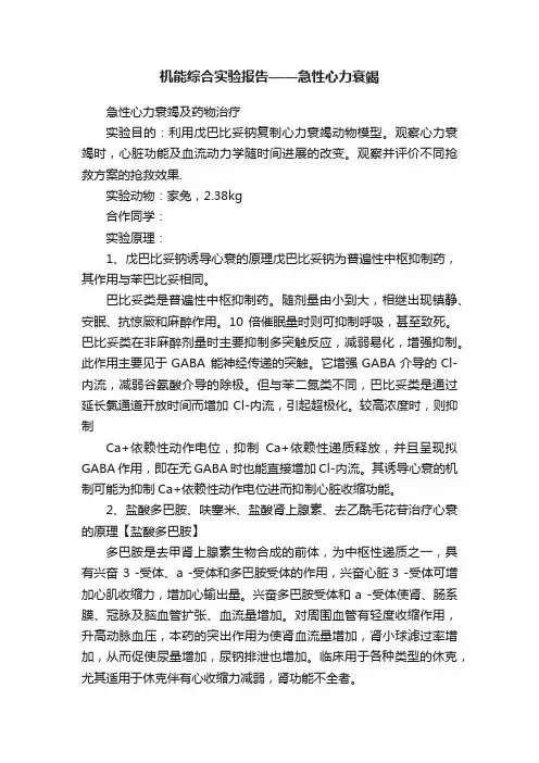 机能综合实验报告——急性心力衰竭
