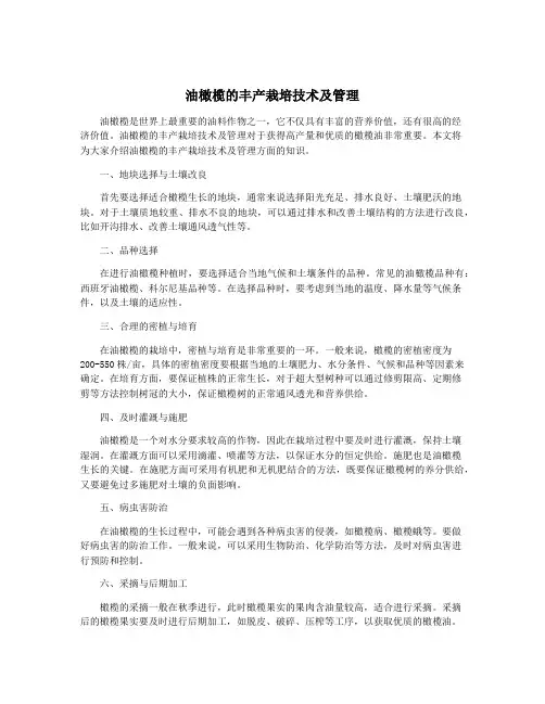 油橄榄的丰产栽培技术及管理