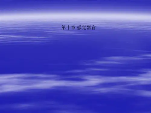 第十章 感觉器官