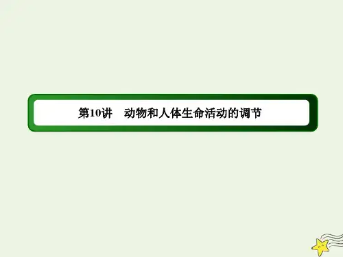 2020高考生物二轮复习专题五生命活动的调节10动物和人体生命活动的调节课件