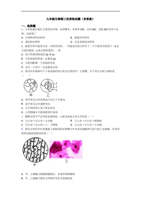 九年级生物第三次质检试题(含答案)