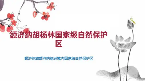 额济纳胡杨林国家级自然保护区