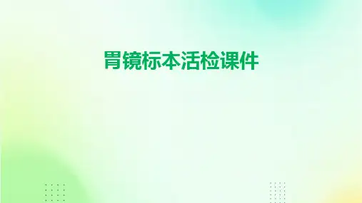 胃镜标本活检课件