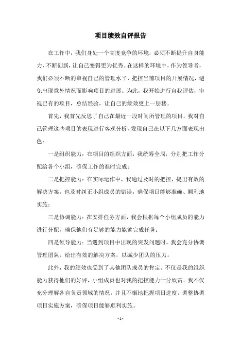 项目绩效自评报告