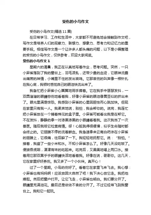受伤的小鸟作文（精选11篇）