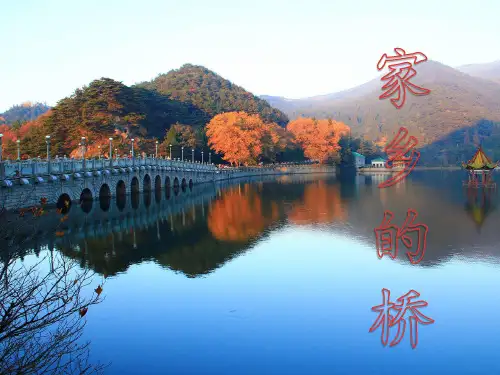 教科版科学《桥的形状和结构》PPT精品教学1