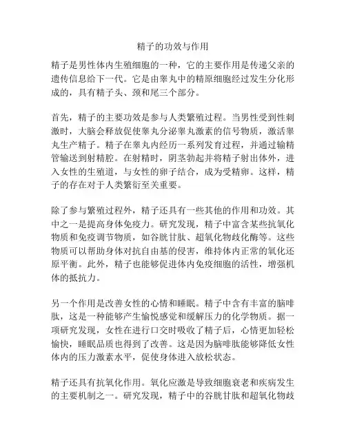 精子的功效与作用