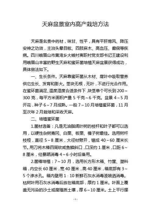 天麻盆景室内高产栽培方法