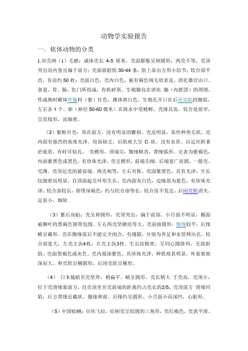 软体动物的分类