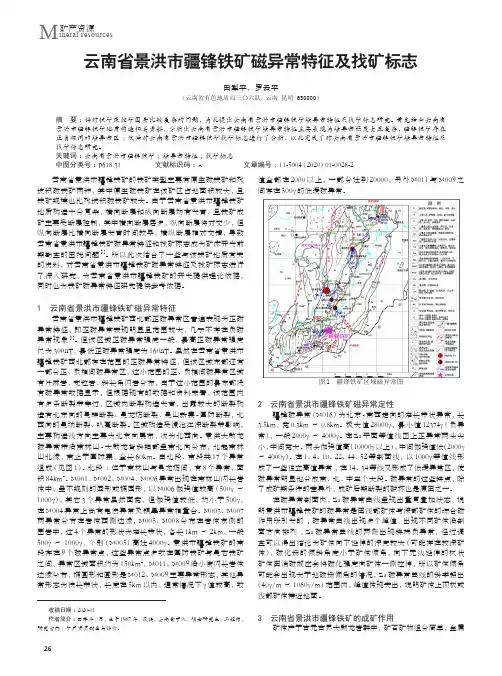 云南省景洪市疆锋铁矿磁异常特征及找矿标志