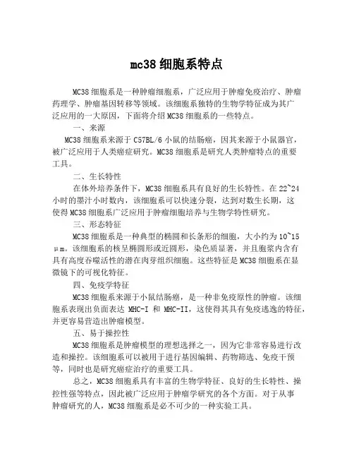 mc38细胞系特点
