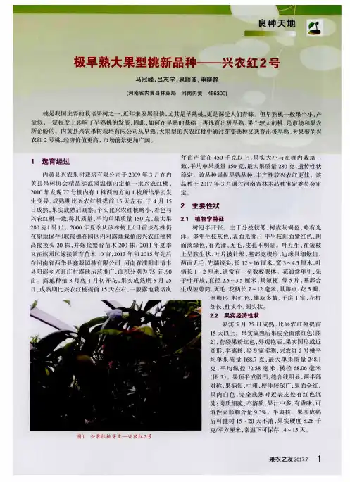 极早熟大果型桃新品种——兴农红2号